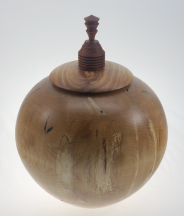 Urne funéraire écologique en bois- #212-Bouleau Coti 8,5 x 11 po.
